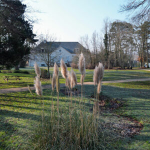 Parc-2